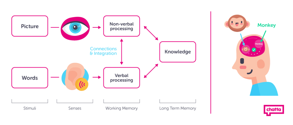 dual coding and subtitles improve leanring