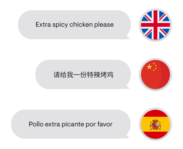 image showing multilingual content