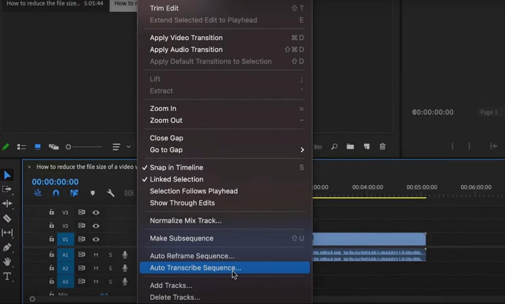 Auto transcription is a game-changer when it comes to quickly generating subtitles for your videos. 